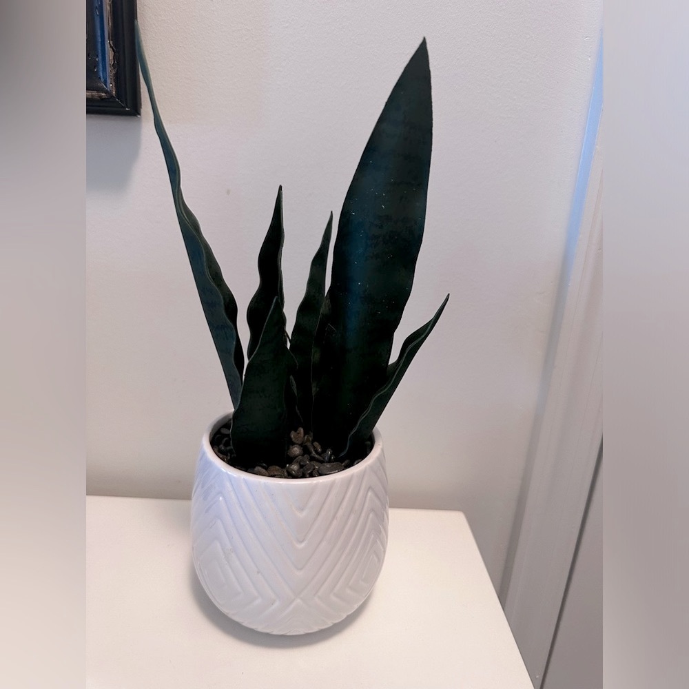 🪴Faux Tabletop/Desk Plant